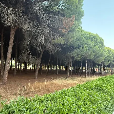 Hacienda Del Sol Apartamento Estepona