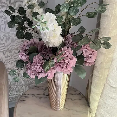 Hacienda Del Sol Appartement *